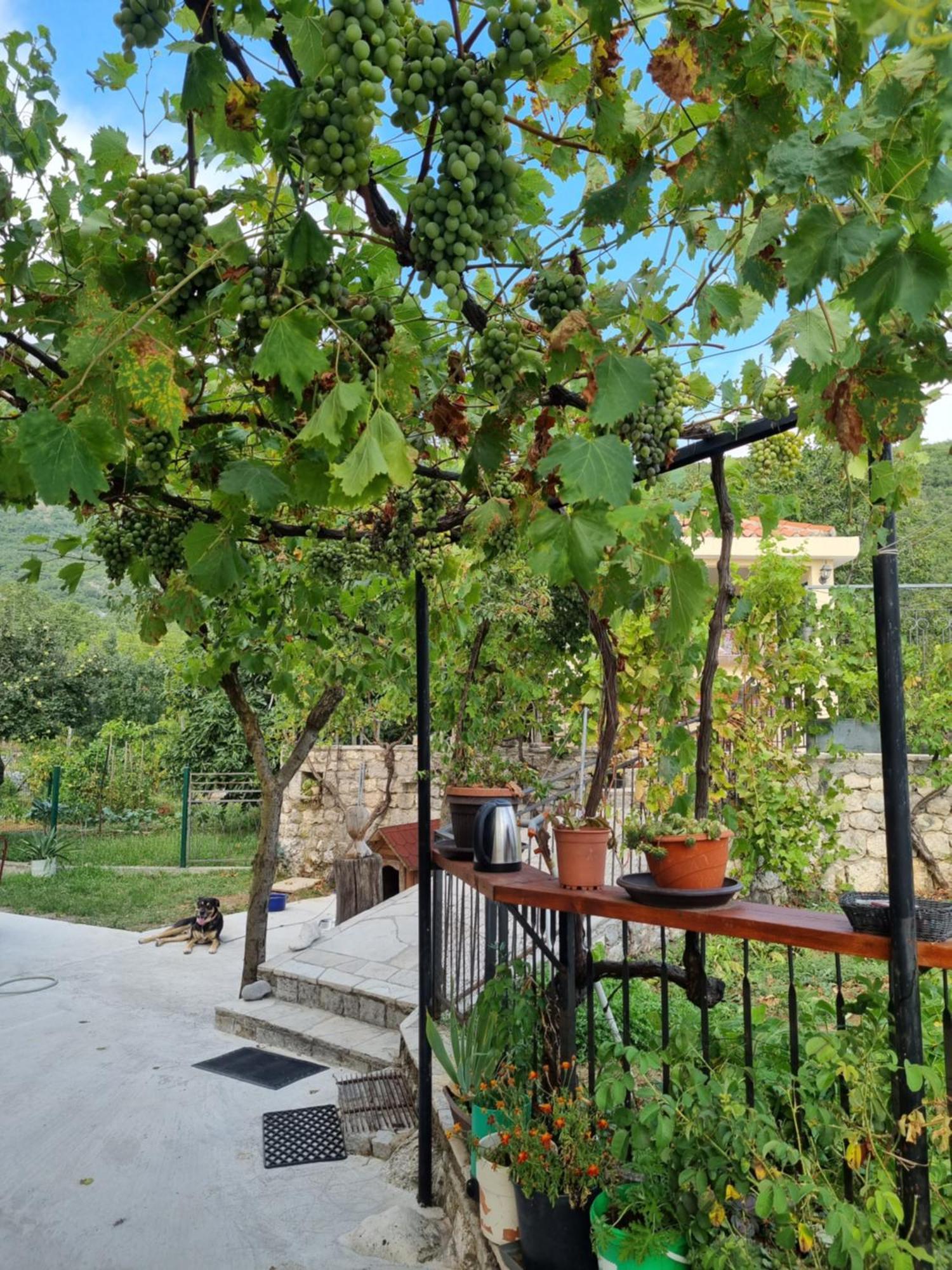 Guest House Duletic Budva Eksteriør bilde